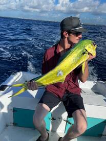 Playa Del Carmen Report Photo 1