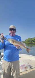 Bonita Springs Report Photo 2