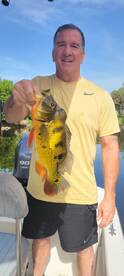 Bonita Springs Report Photo 1