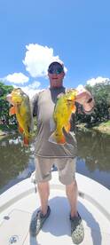 Bonita Springs Report Photo 2