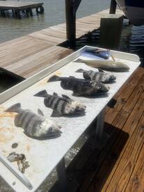 Matagorda Report Photo 2