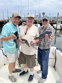 Small fluke and big seabass  