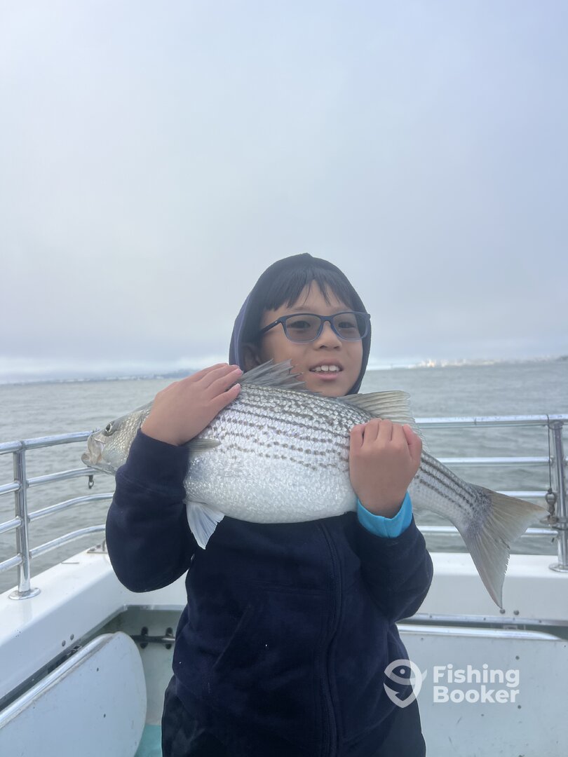 San Francisco Report Photo 0