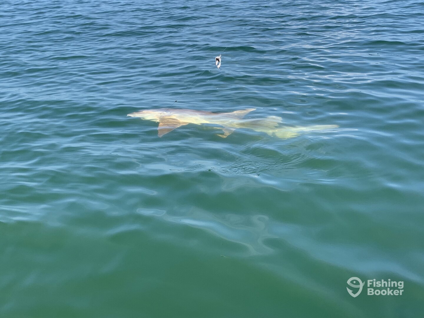 Bonita Springs Report Photo 0