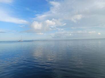 Loxahatchee River Report Photo 4