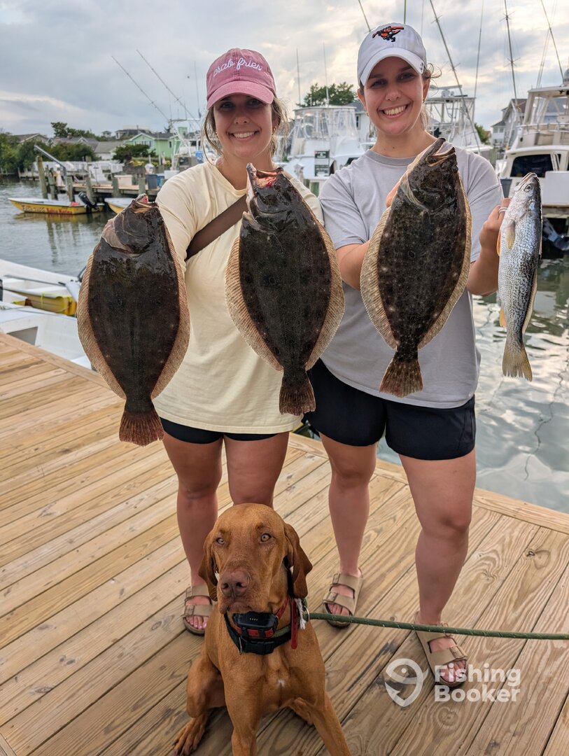 Ocean City Report Photo 0