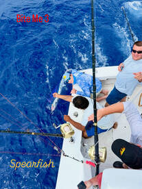 Spearfish on the line!