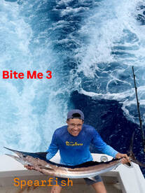 Spearfish have been hot on the line!!