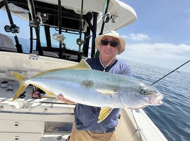 Yellowtail showing well at catalina!