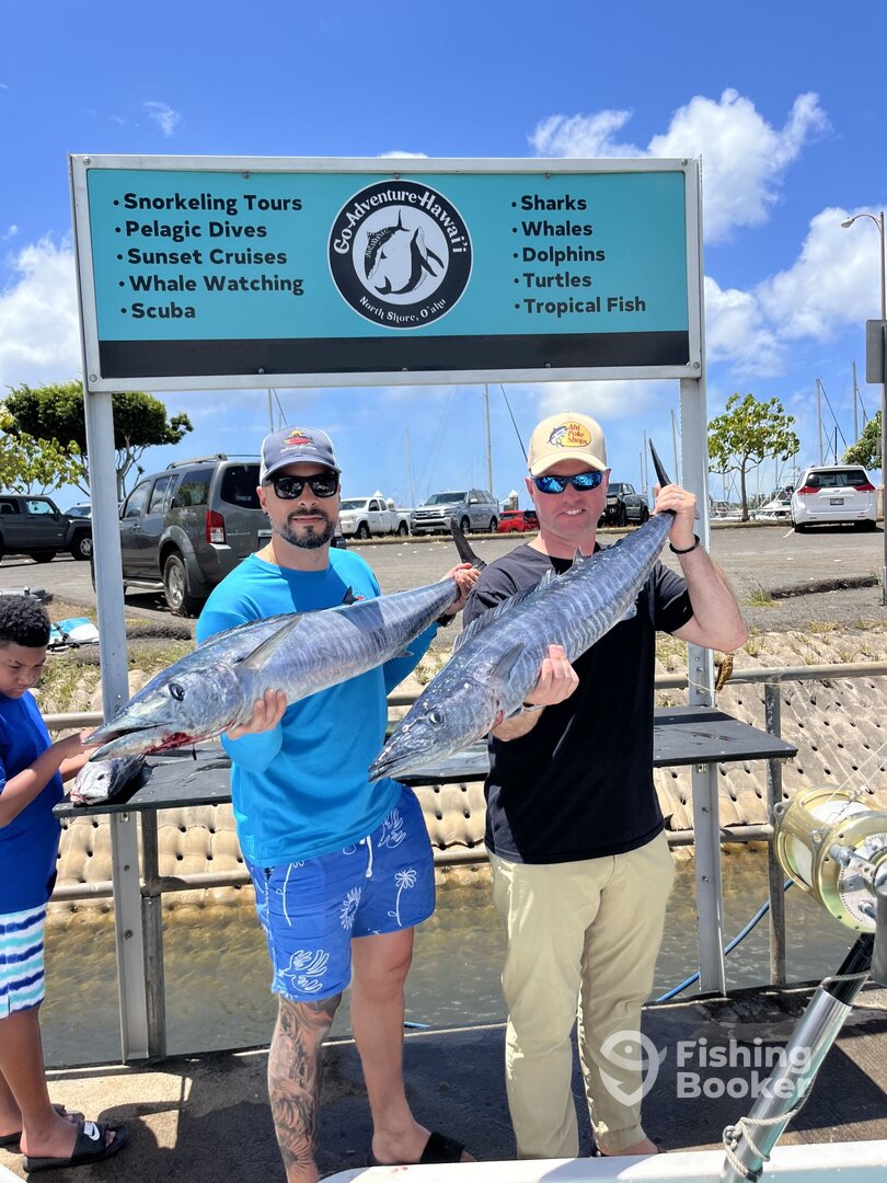 Haleiwa Report Photo 0