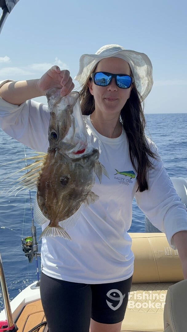 Trogir Report Photo 0
