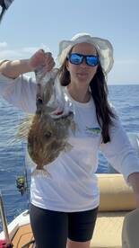 Great fishing offshore tour on the Bisev
