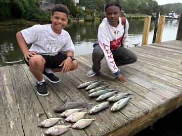 Barnstable Report Photo 3