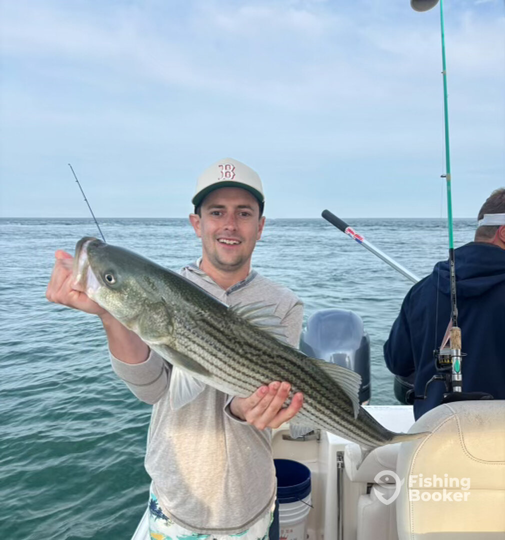 Barnstable Report Photo 0