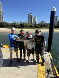 Gold Coast Report Photo 2