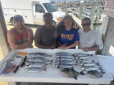 Avalon Report Photo 1