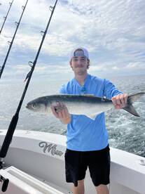 Big blue 