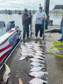 Lane County Report Photo 4