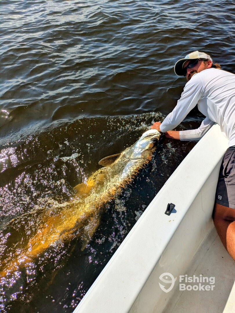 Jacksonville Report Photo 0