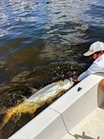 Jacksonville Report Photo 2