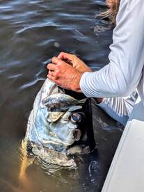 Jacksonville Report Photo 1