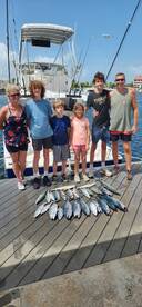 Dolphin fishing is off for now