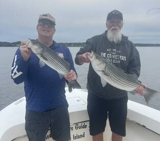 3 1/2 hour striped bass surface feed