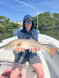 Manatee County Report Photo 2