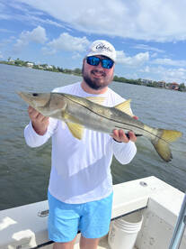 Manatee County Report Photo 4