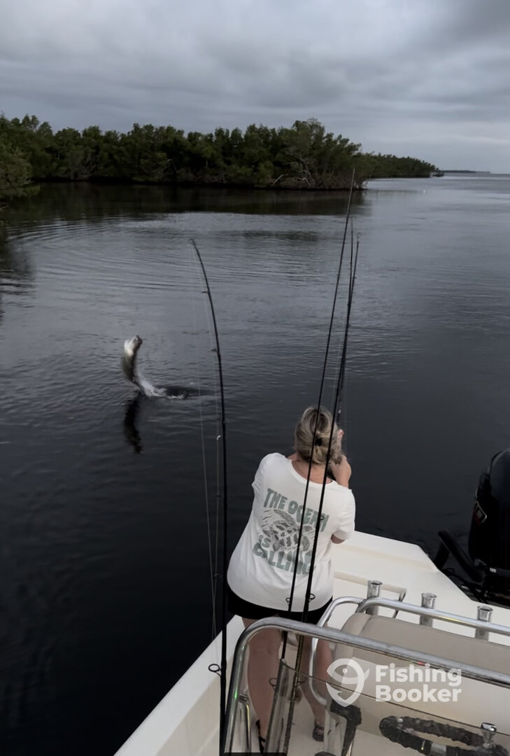 Punta Gorda Report Photo 0