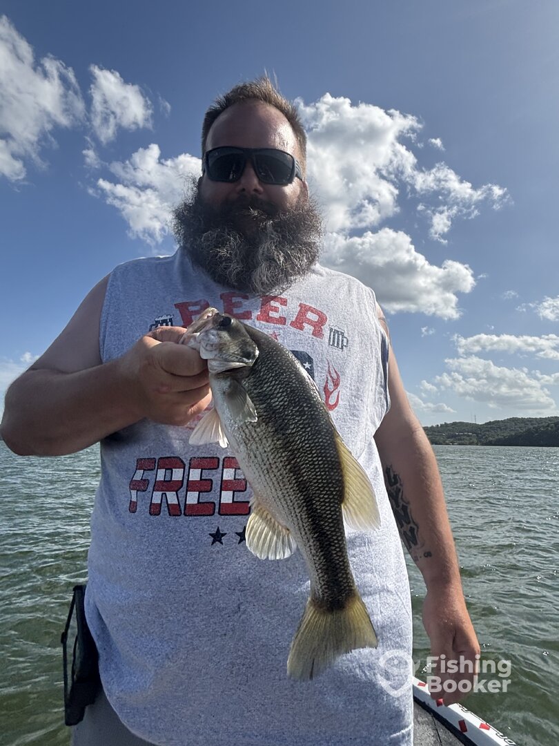 Branson Report Photo 0