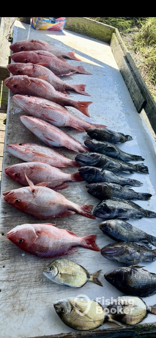 Calabash Report Photo 0