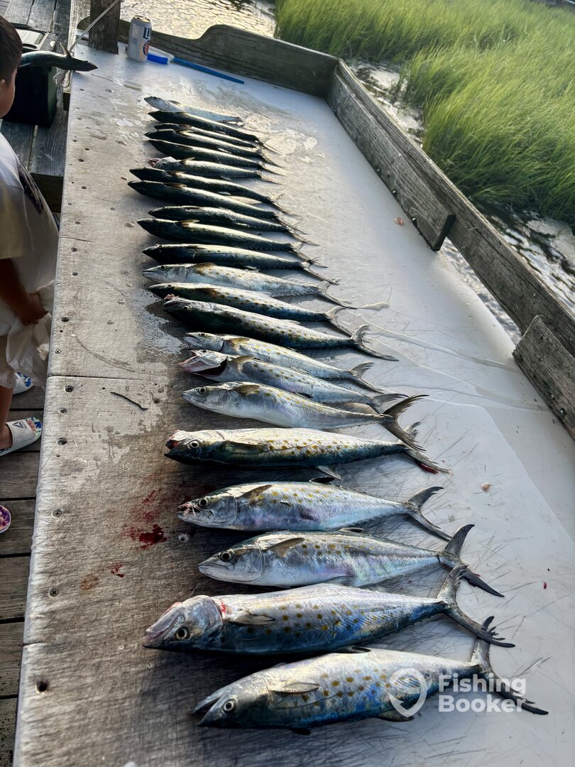 Calabash Report Photo 0