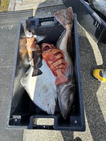 Coal Harbour Report Photo 2