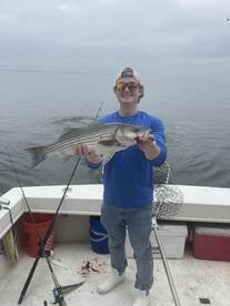 Stamford Report Photo 1