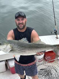 Striped bass still here and chewing 