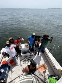 Stamford Report Photo 2