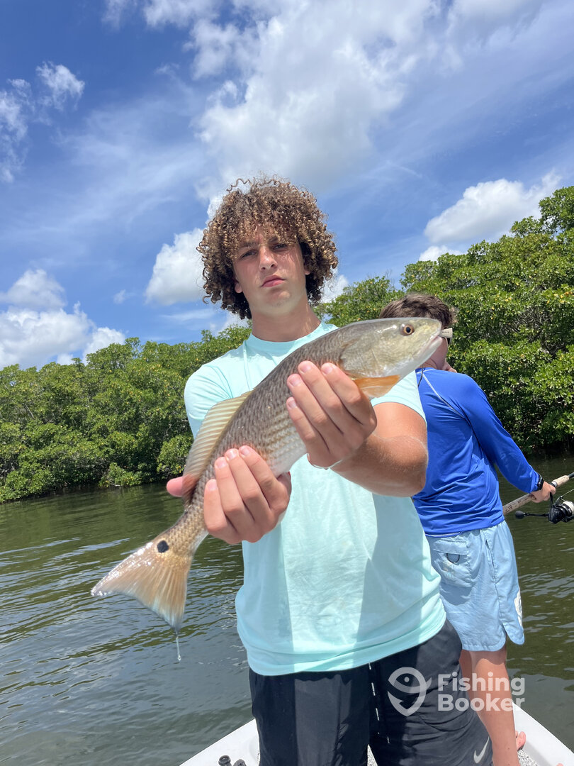 Tampa Report Photo 0