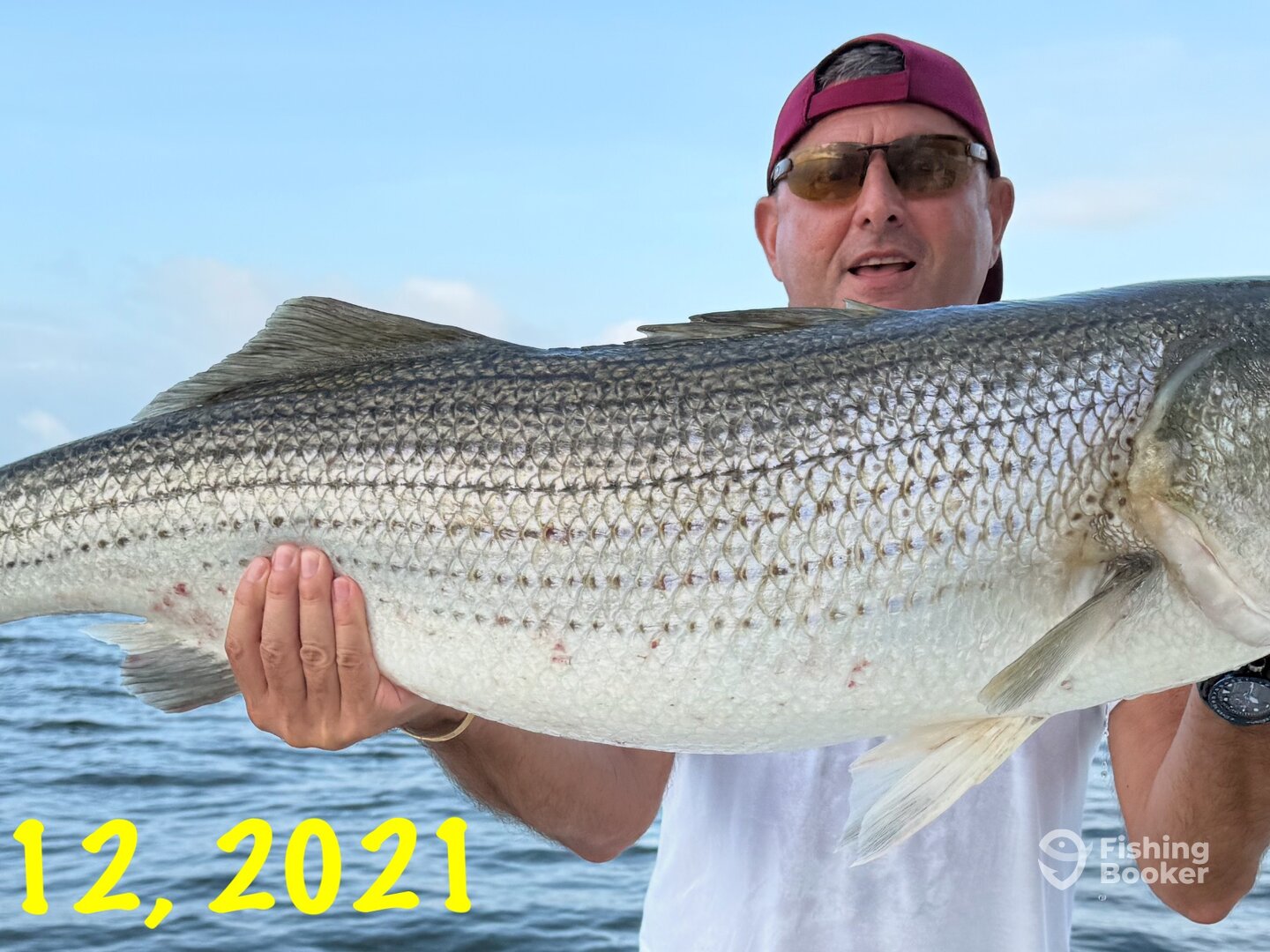 New York City Report Photo 0