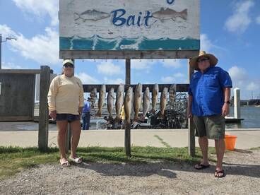 Redfish and black drum action ?