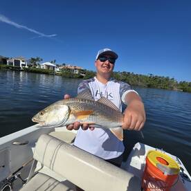 Sarasota Report Photo 1