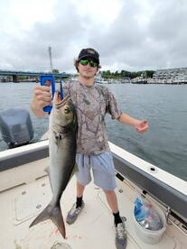 Jersey Shore Report Photo 2