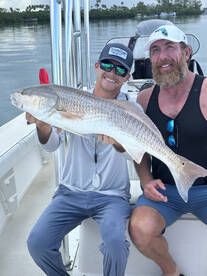 Sarasota Report Photo 2