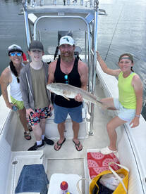 Sarasota Report Photo 1