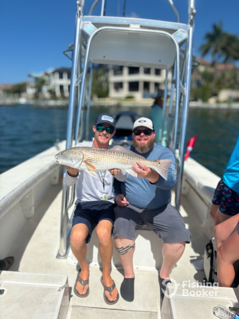 Sarasota Report Photo 0
