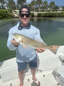 Sarasota Report Photo 2