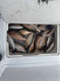 Key West Report Photo 2