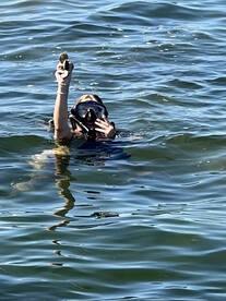 Steinhatchee Report Photo 1