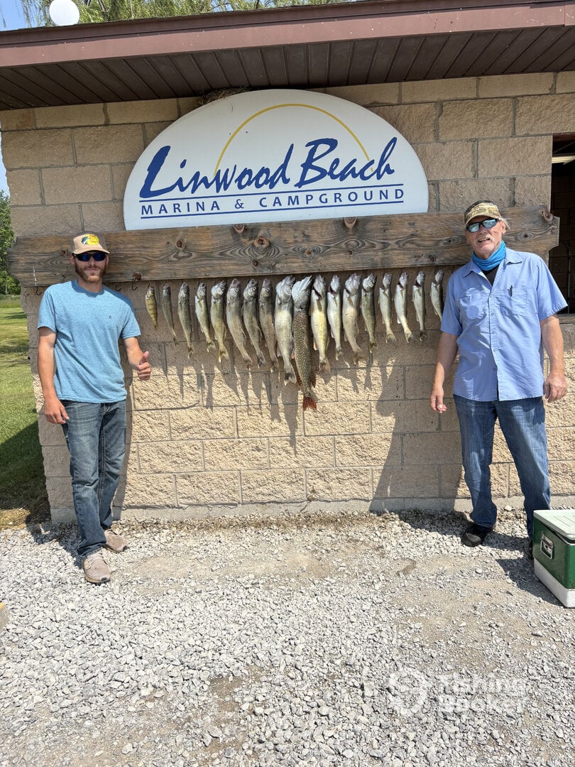 Bay City Report Photo 0