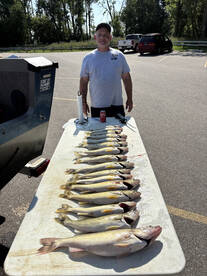 Saginaw Bay walleye trolling 